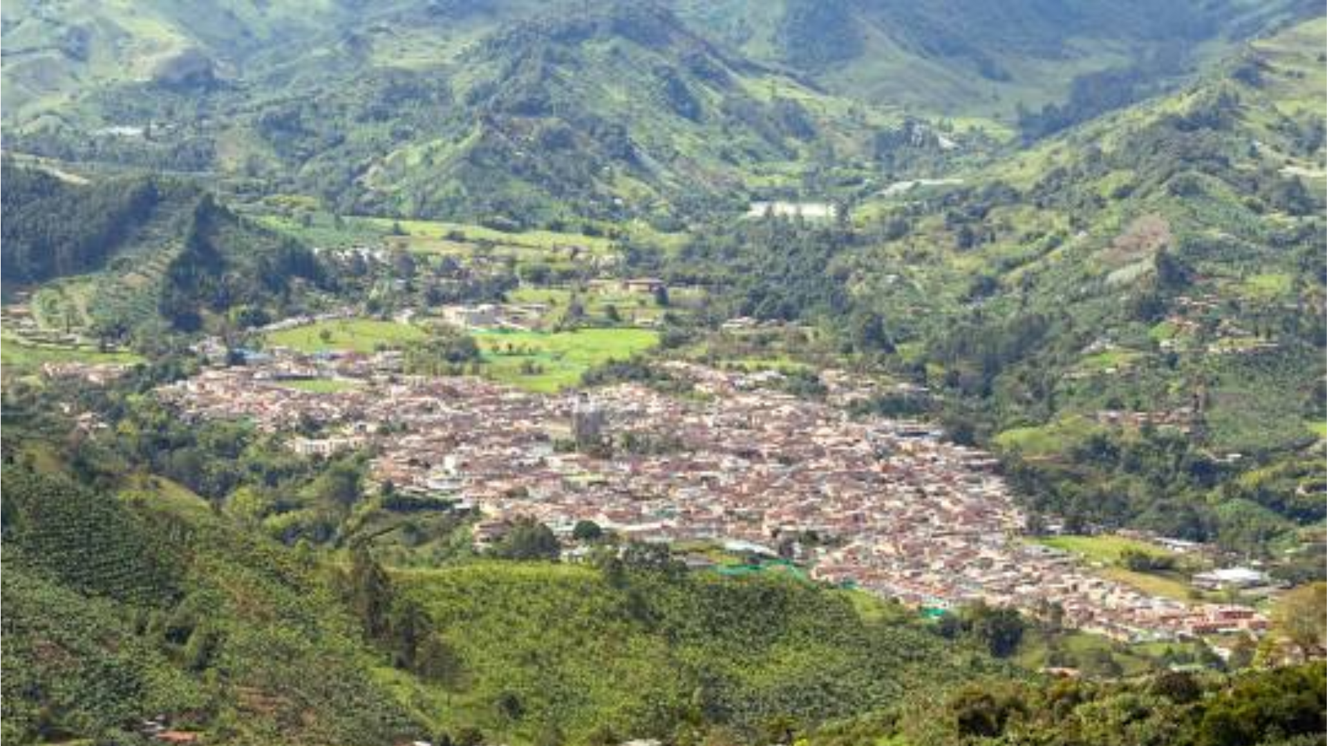 Visita a finca cafetera