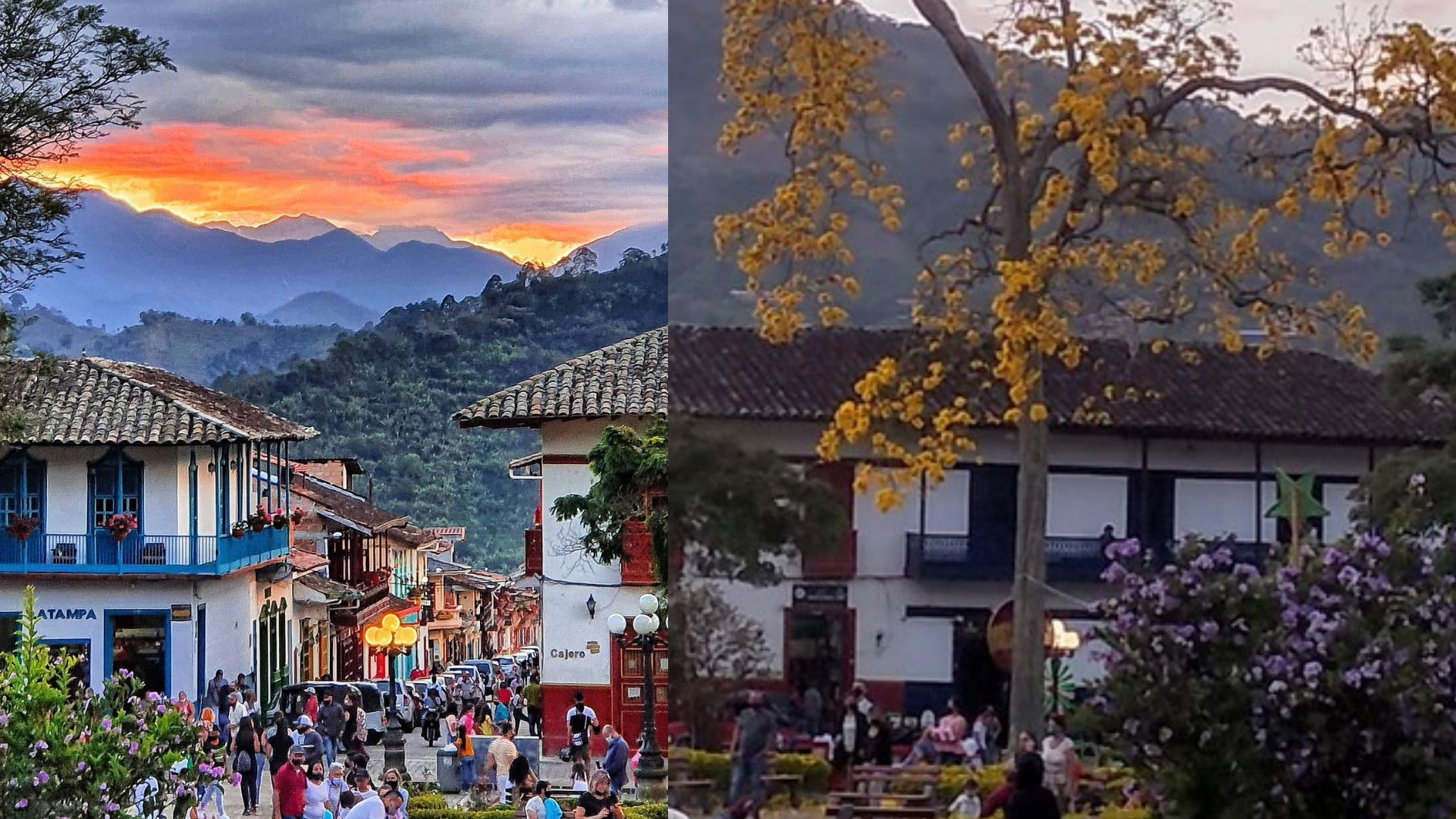 Naturaleza y cultura