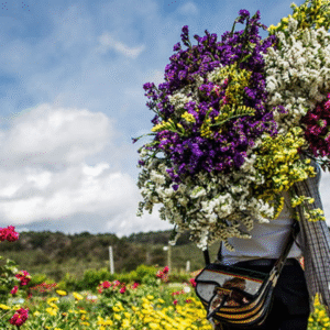 Tour Silleteros en la Finca El Pensamiento: Tradición, Cultura y Naturaleza